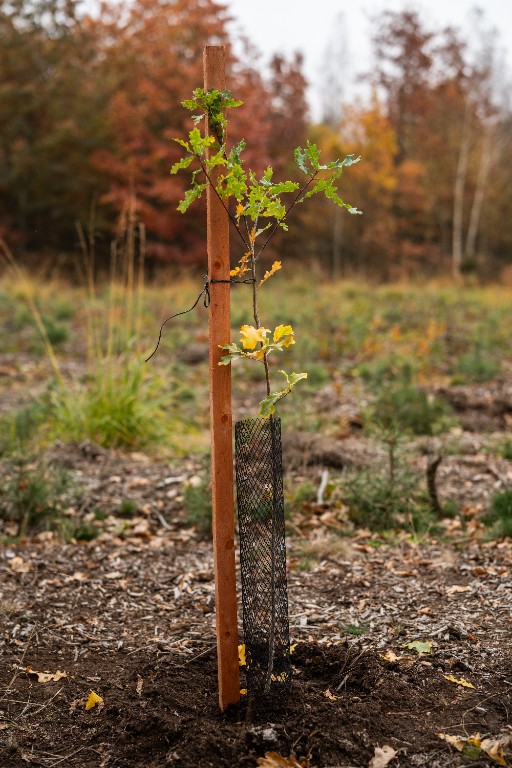 Foto Ochrana proti okusu Rukávec z polyethylénu (162 liten), jemnější síťka (zajíc), š. 15cm, oko 27mm, zelená, role 100m