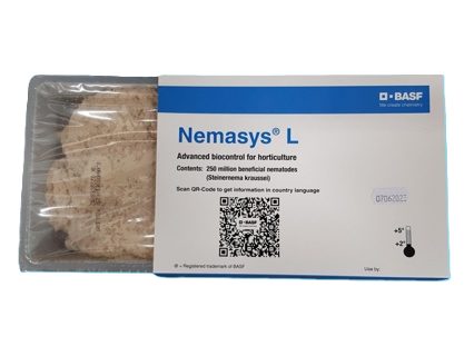 Foto Nemasys L, 1ks