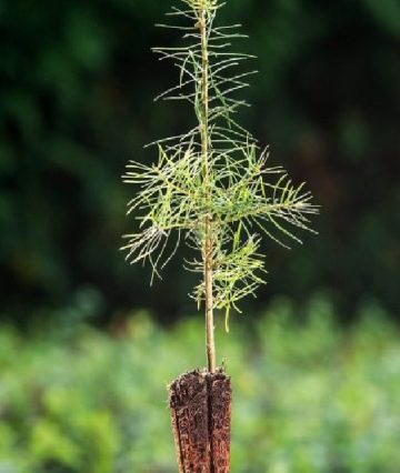 Miniatura - Kompletní sortiment