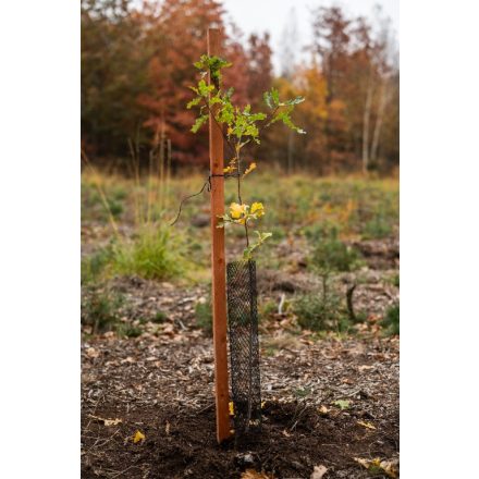 Foto Ochrana proti okusu Rukávec z polyethylénu (162 liten), jemnější síťka (zajíc), š. 15cm, oko 27mm, zelená, role 100m