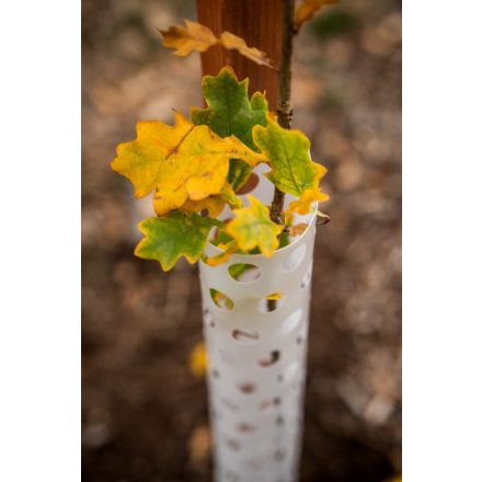 Foto Ochrana proti okusu Light (výška 78 cm, průměr 80 mm), lehká, recyklovatelná, PE