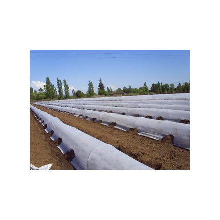 Foto Netkaná textilie proti mrazu, 30g/m2, šířka 320cm, barva bílá, 100m